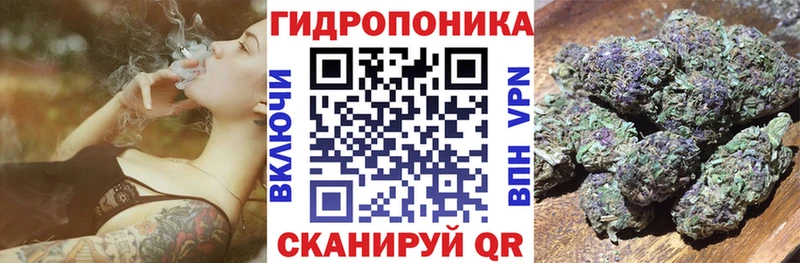 Виды наркоты Полярный omg зеркало  Псилоцибиновые грибы  COCAIN  Амфетамин 