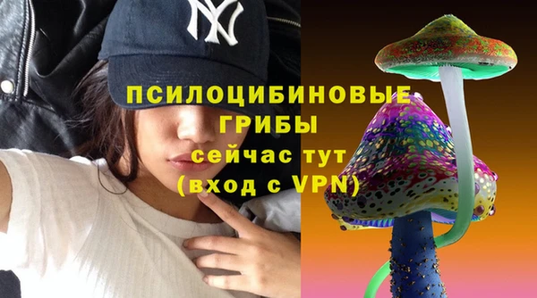 молекула духа Абинск